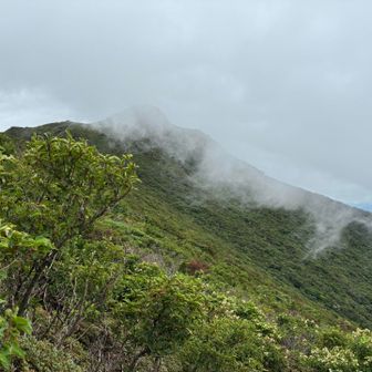 ガスが晴れそう。