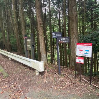 舗装路に出ます