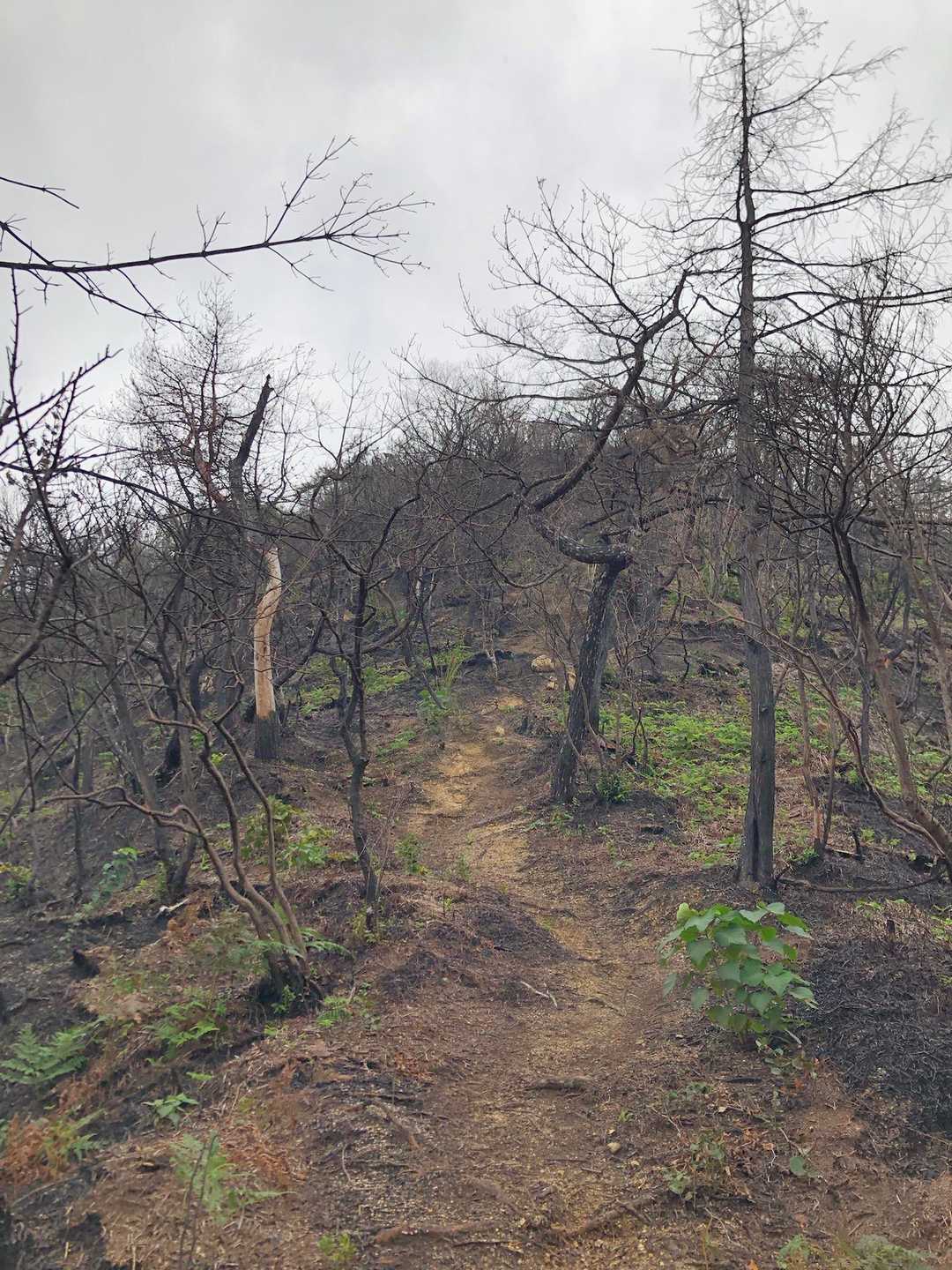 野々瀬下登山口-笠松山-笠松山登山口 周回コースの写真