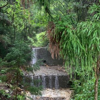 無事に裏参道登山口まで、下山。