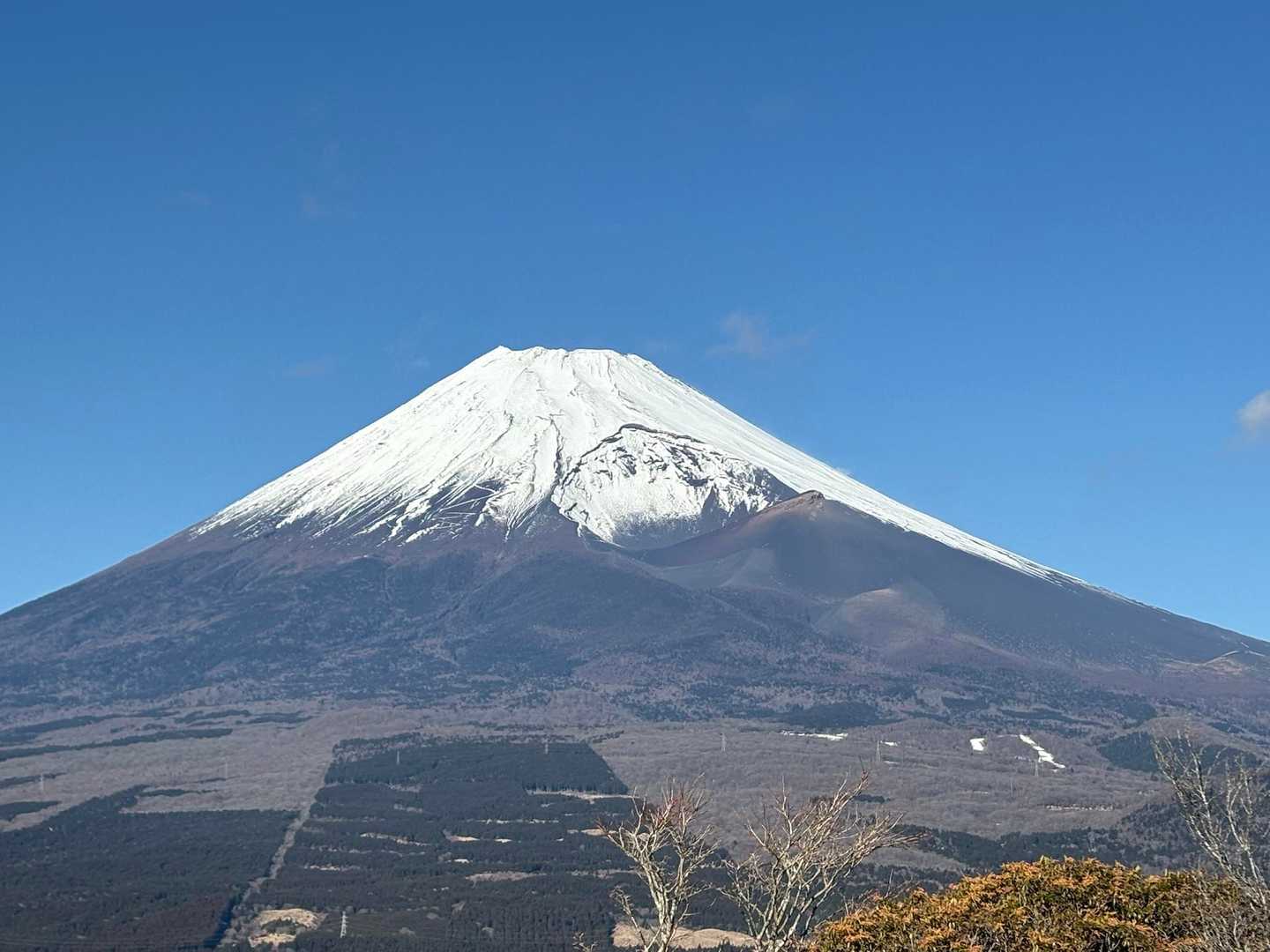 目に焼き付けておこう👀🗻