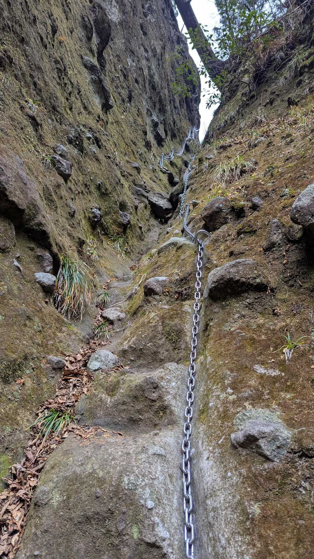 豊前坊登山口-英彦山-英彦山 往復コースの写真