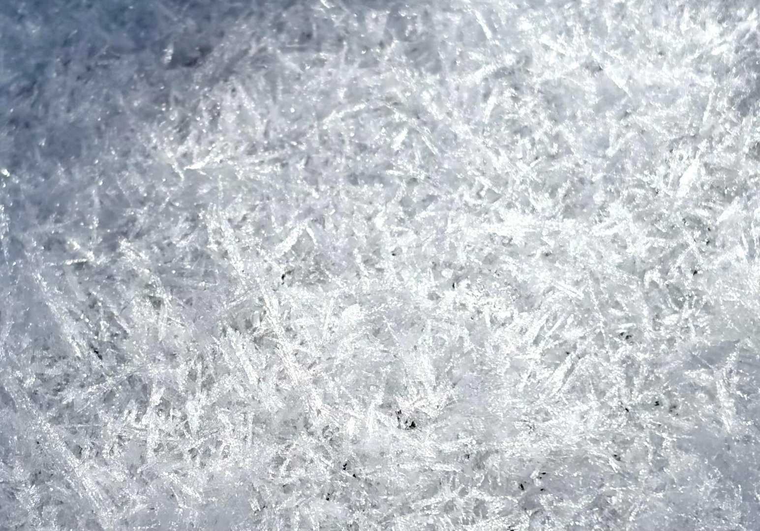 針のように降る霧氷が、山道にシャーベットスイーツのように盛られていました！