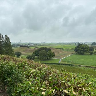 丸墓山からの眺望♪