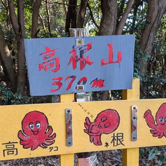 ん？たこ焼きたべたい。