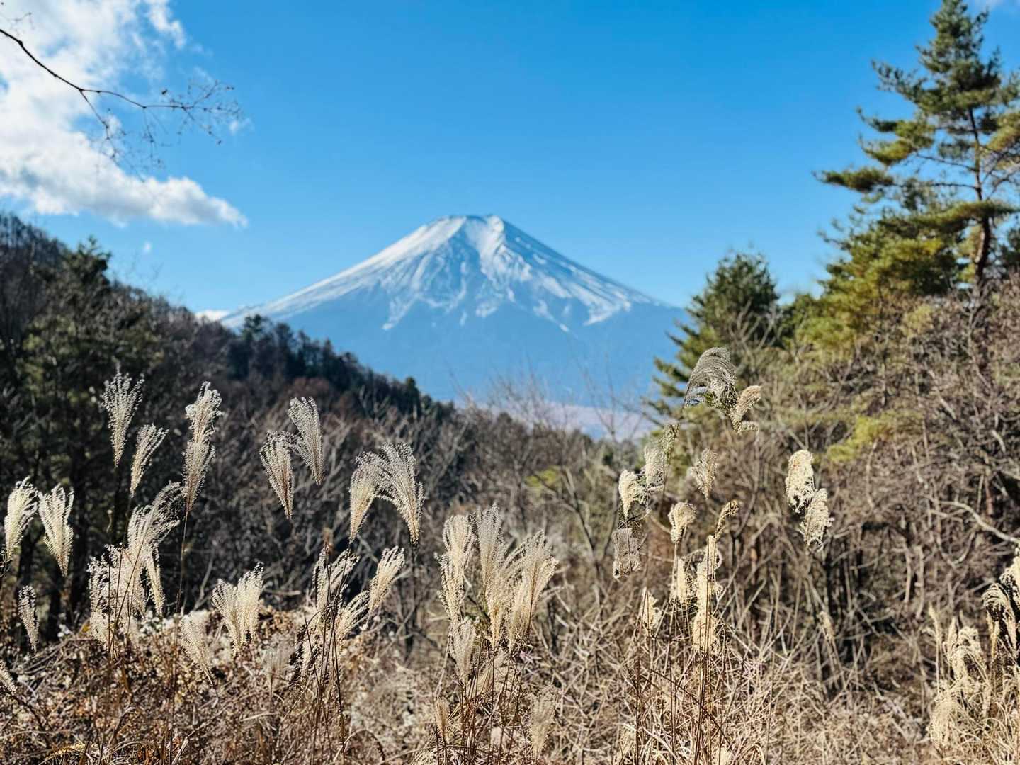 何回でも写真撮っちゃう。