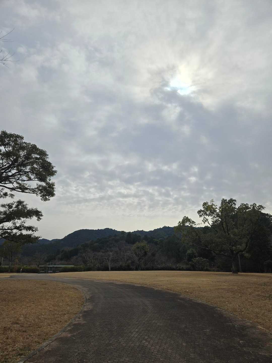 下りは走って下山🤩　

今日もありがとうございましたm(_ _)m