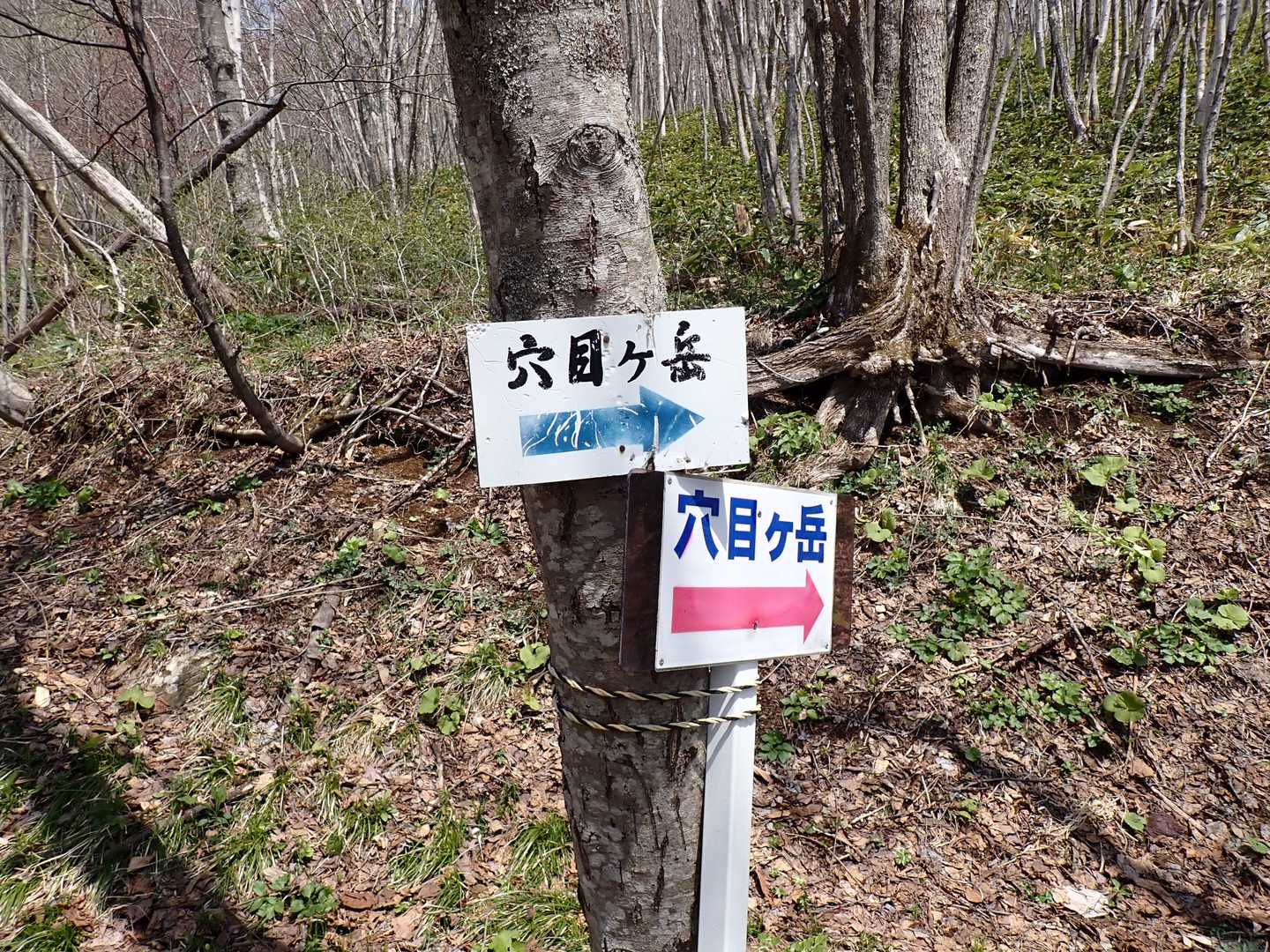 看板はここ一か所