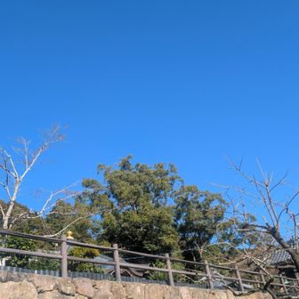 41番札所
龍光寺。空の青さが印象的。

