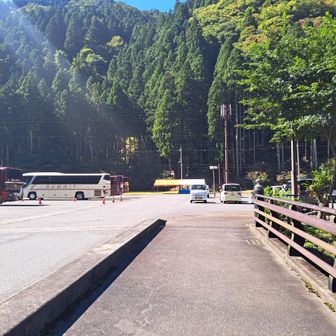 ・登山口の無料駐車場(24時間ok)
・「葛川息障明王院」は不動明王　
　の霊地と云われており朝にはな
　かった大型バスが6台停まってい
　た
