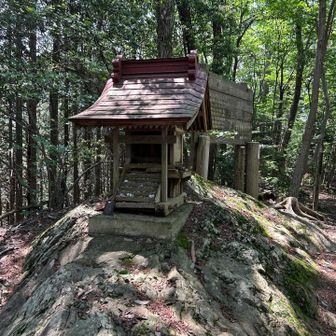 愛宕山もピークハント
標識はありませんでした