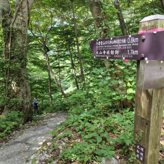 帰りは行者コースから大山寺奥宮へ