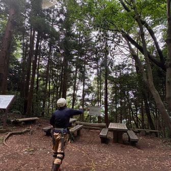 ベンチの上に折れて落ちかけている枝を、みんなが安全に使えるよう、取り除いてくれています！
ありがとうございます😊