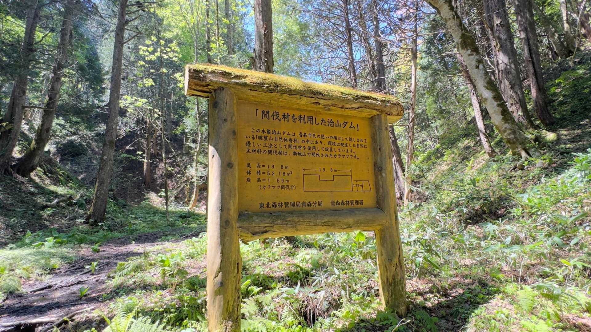 間伐材の治山ダム、はじめてみたかも