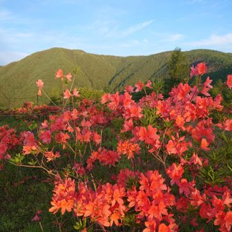 南アルプス鳳凰三山へ繋がる稜線を望む