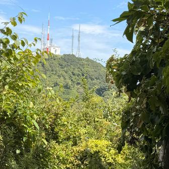 入江山観測所跡から御殿山