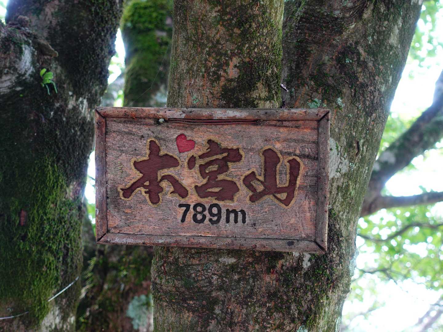 山頂