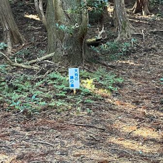 天狗の踊り場へ