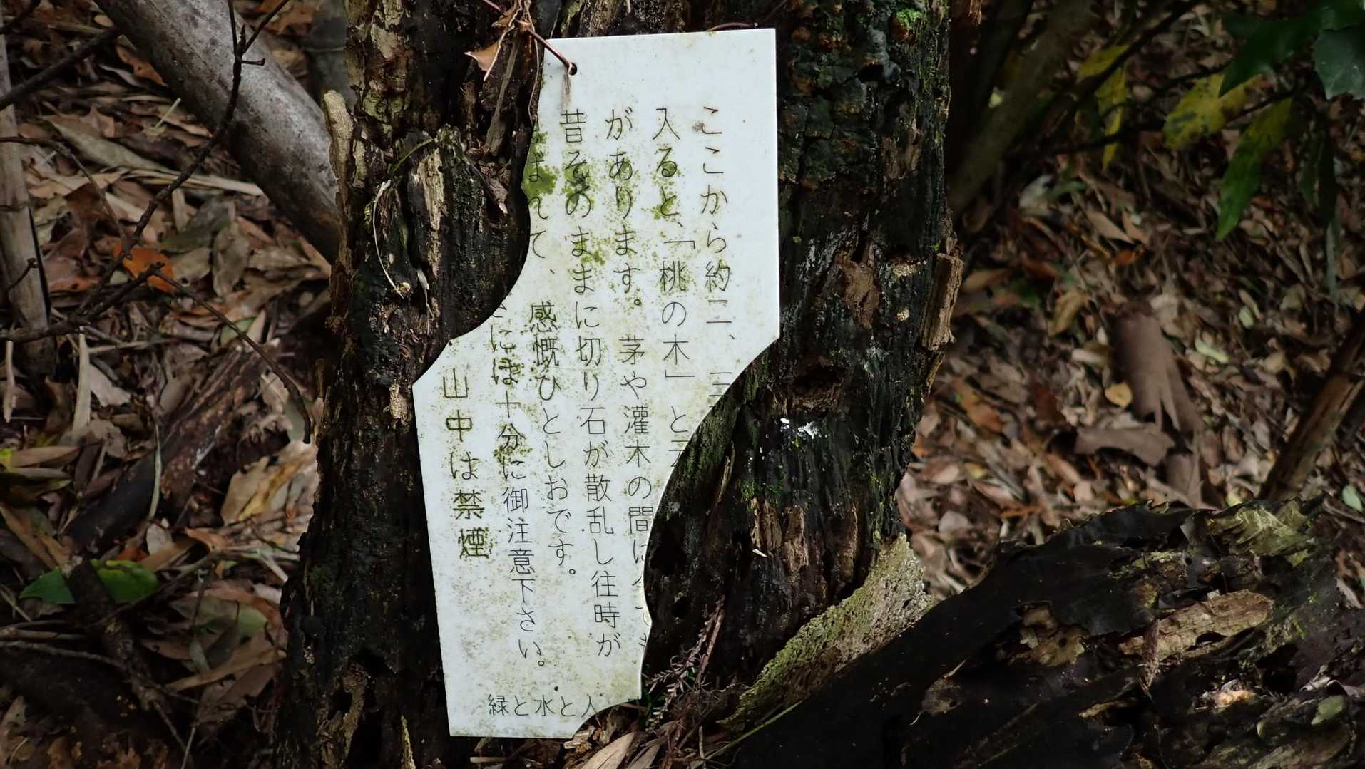 読めない。残念。