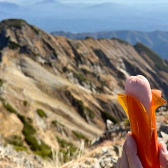 北峰を眺めながら休憩中、おすしさんが自分のソーセージの皮を剥き始めたので撮影許可を申請🙇
快諾後、剥いた皮を少し戻してくれた🤣

学生時代、「剥いて洗って戻す」と教わったのを思い出した📖