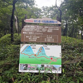 時間が早いので、山頂へ向かいます⤴️