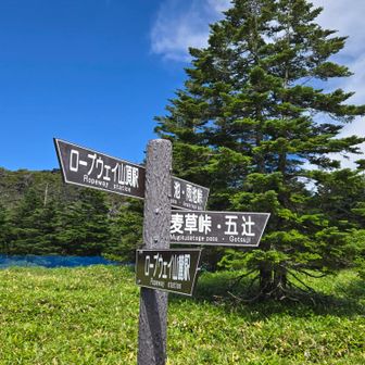 麦草峠まで帰ります～ファイト✊