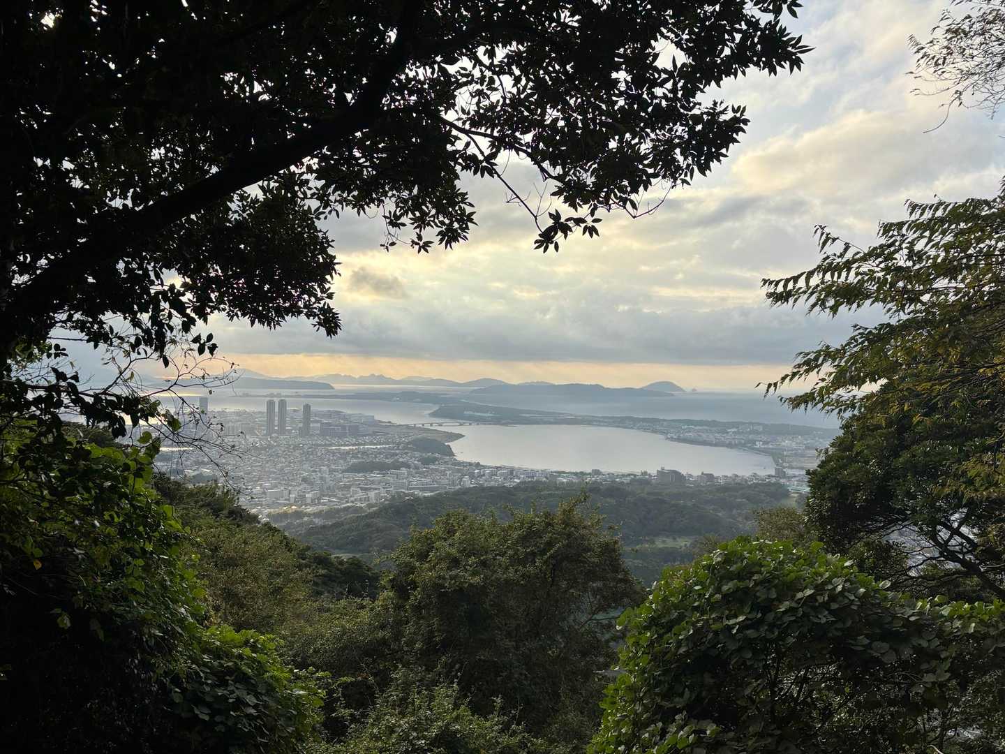 立花山 周回コースの写真