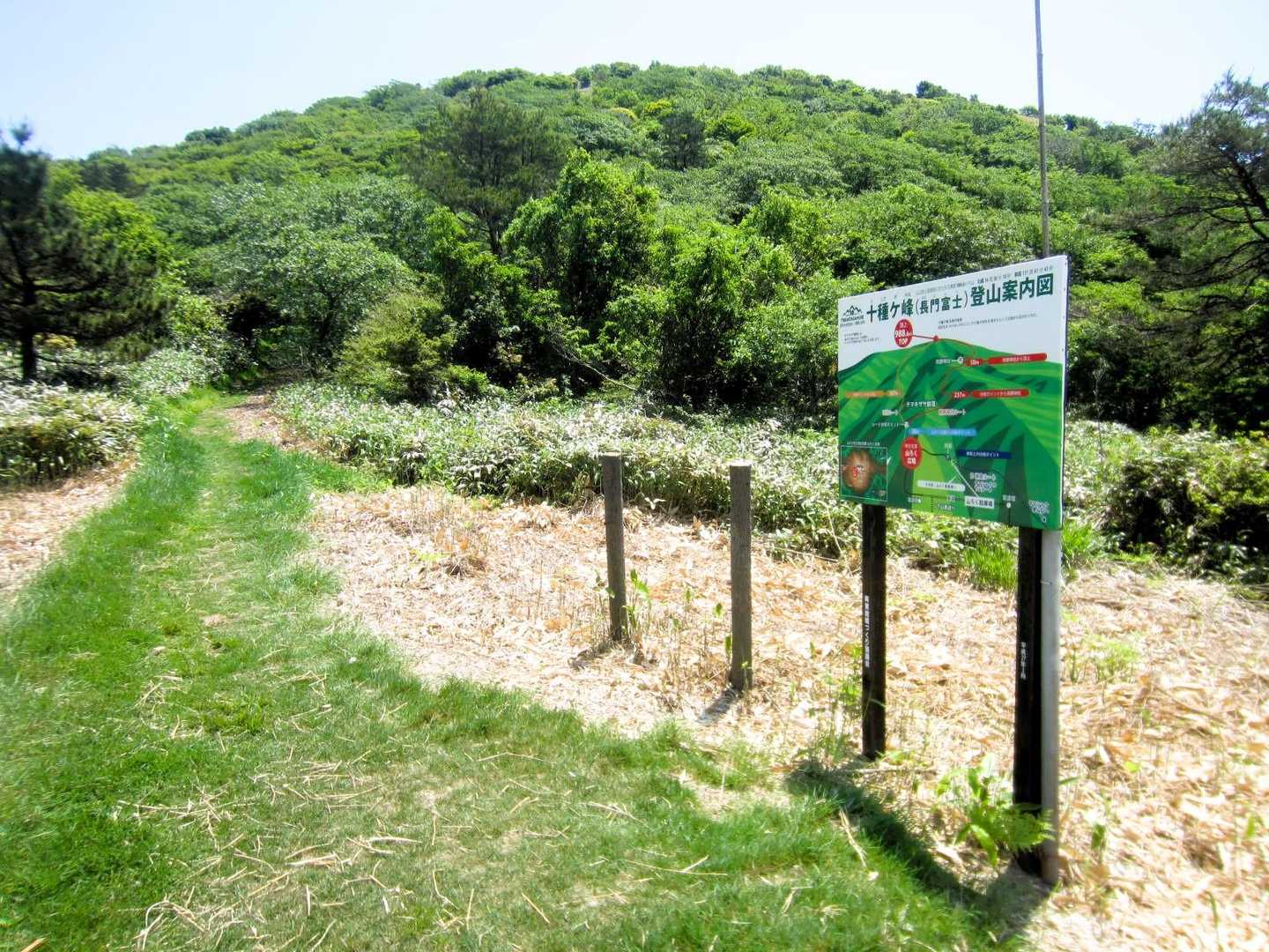 駐車場から１０分くらいで山麓広場に出る。ここでようやく山頂が見える。　ＳＬ撮影用の機材を担いでいるから重い。🥵　牛歩ペースで登る。🥵