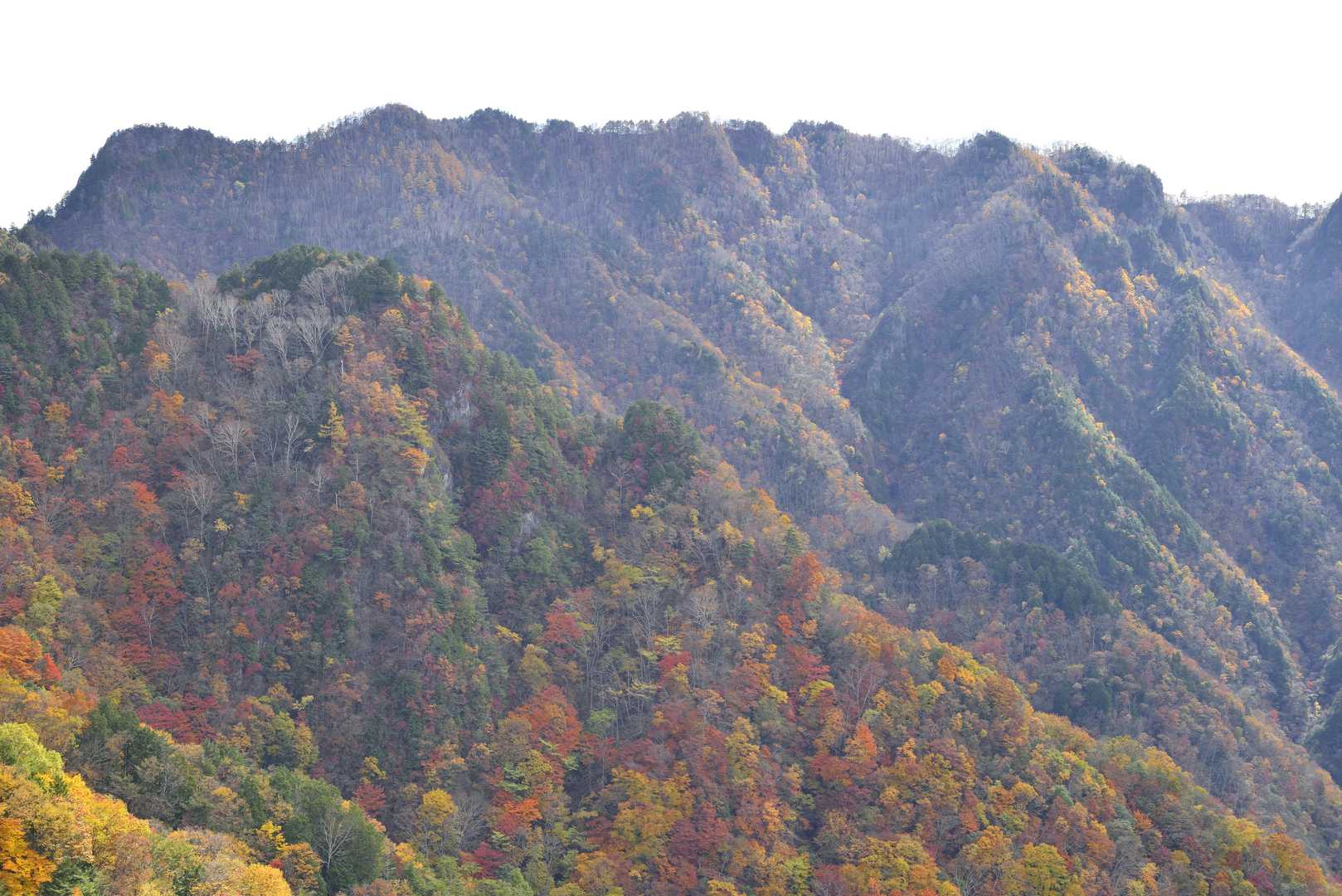 両神山の写真