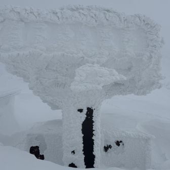 育ってきてるなー