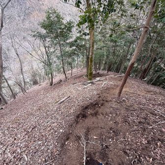 最後、、かなーり急なんだよな💦