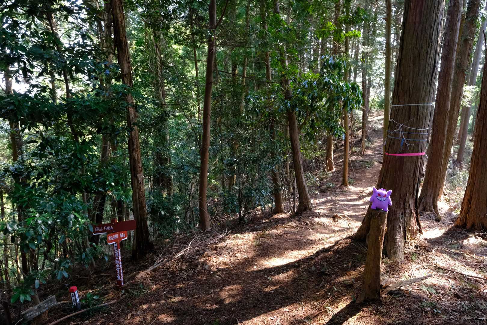 続いて、コル部の分岐点から登り返すと『深沢山』の北峯(452m)にも登頂だ。こちらからは、より山懐深い『奥多摩』と呼ばれるエリアへの縦走路も分岐しているが、今回は直進して引き続き里山の道程を目指す。