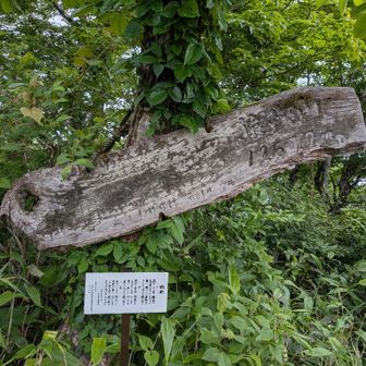 山頂プレート❗🥰
実は広島県側にある小学校の校歌❗このたび島根県側の小学校の校歌プレートが新規に立てられました🤗
