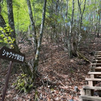 本日、最後の試練。