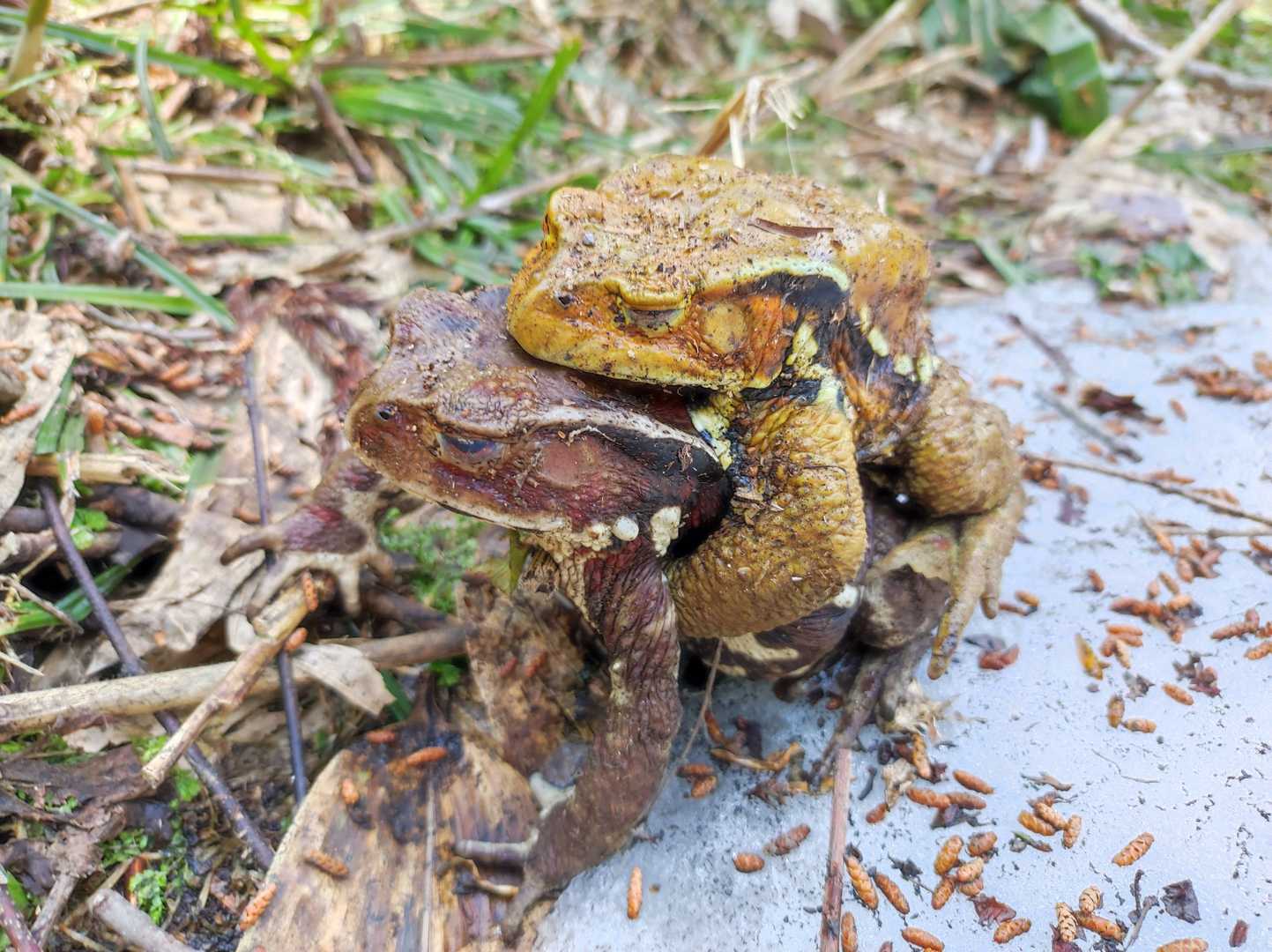 おんぶにだっこ🤗