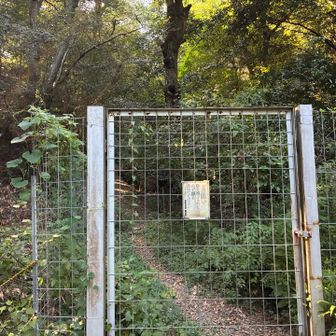 獣害対策の扉を開けて…
開けたら閉める