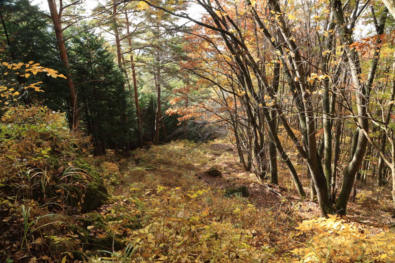 茅ヶ岳周回 | 日本百名山の著者終焉の地は、富士山・南アルプス・八ヶ岳の展望台の写真
