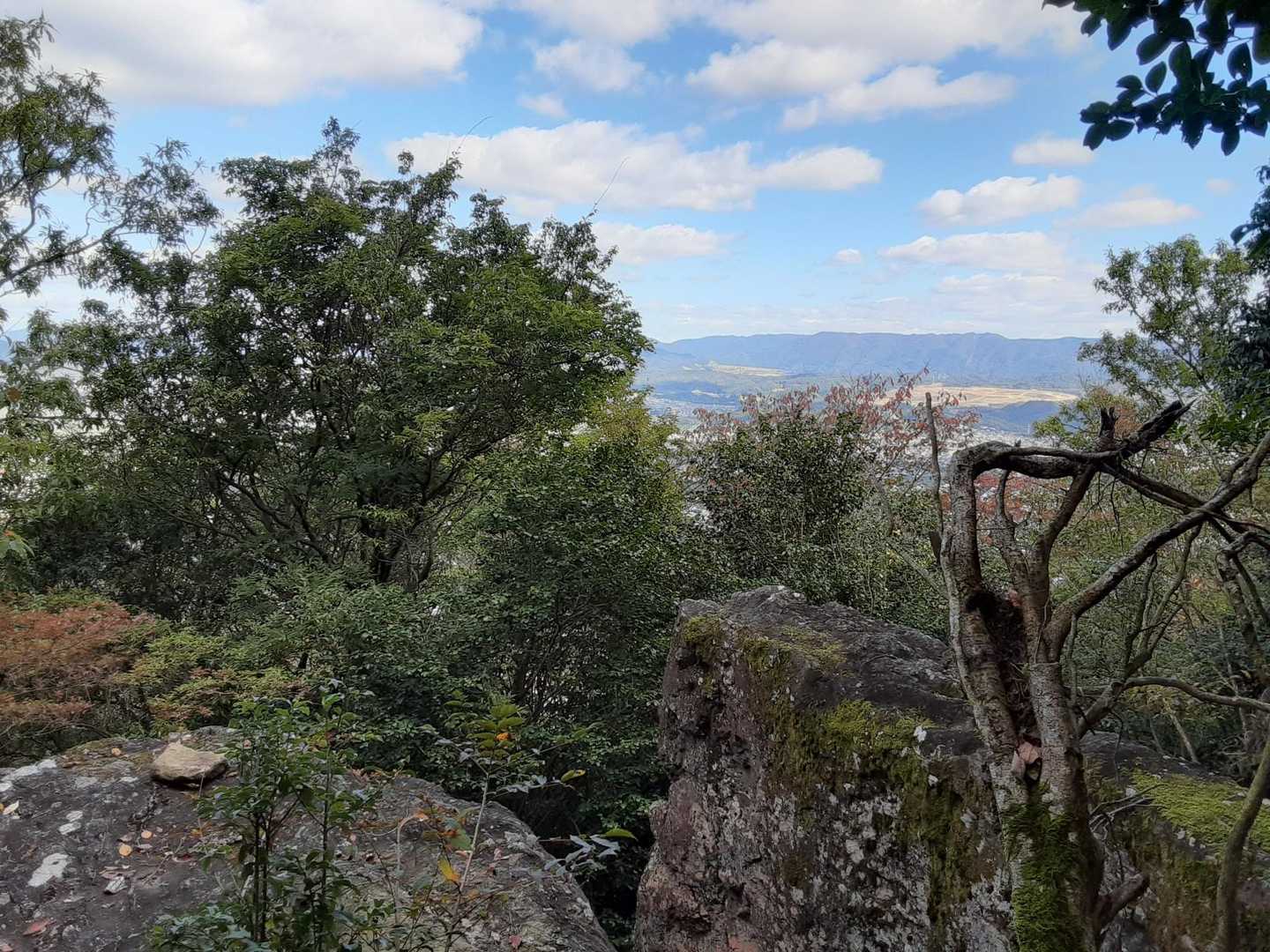 岩根山登山口-岩根山 往復コースの写真