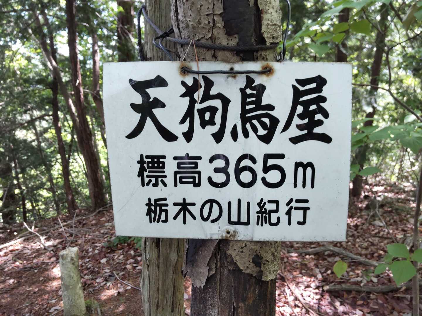 天狗鳥屋に到着