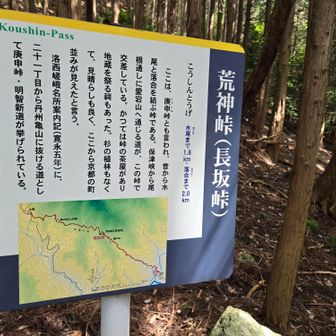 ようやく荒神峠(米買道出合い)
登山口からここまで約１時間💦
そして峠から表参道合流地点までは50分ちょっとかかりました🐢💦