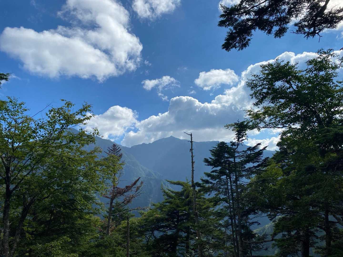この日は鳳凰三山がずっと背中を押してくれていました