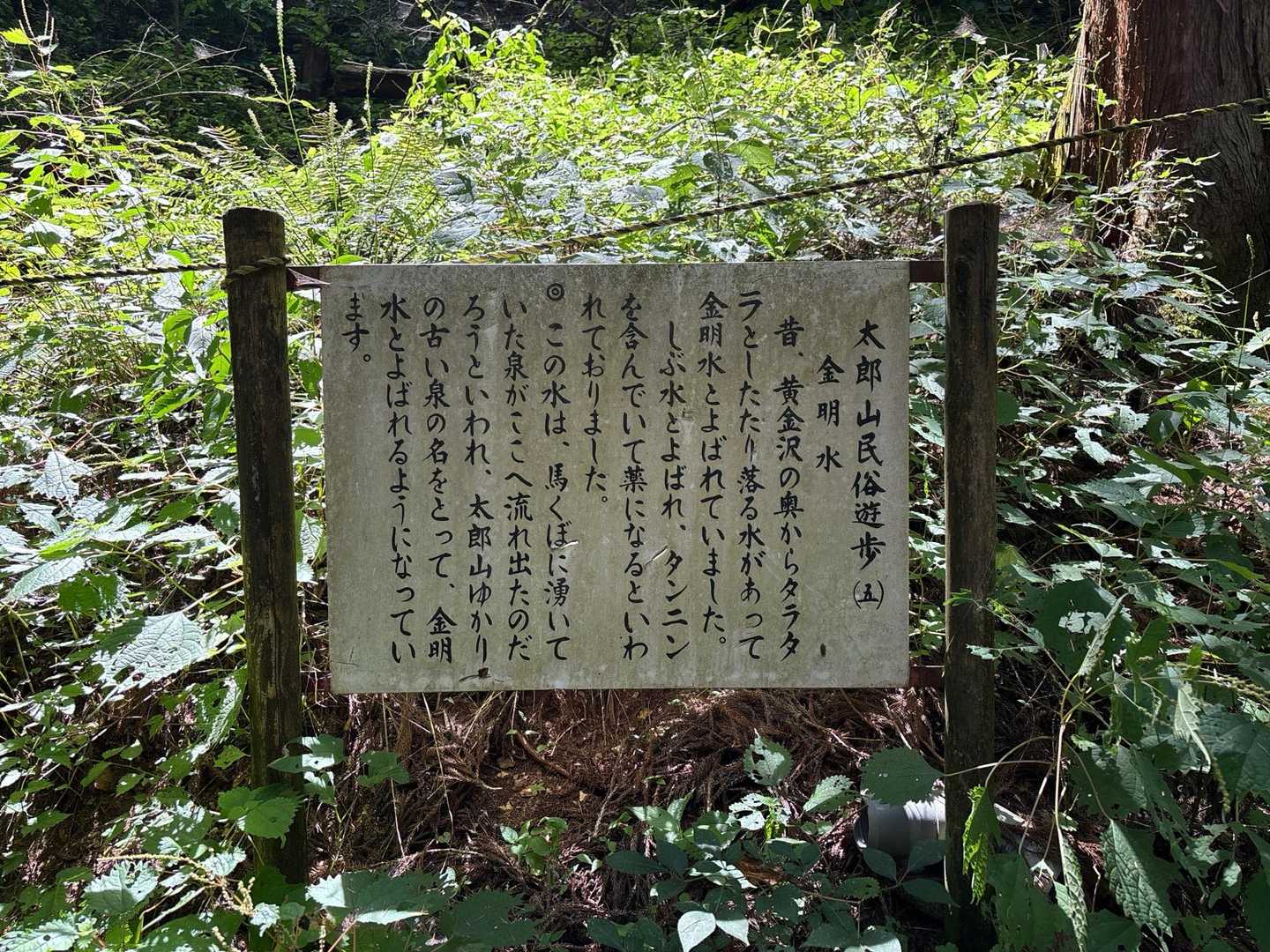 金明水