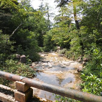 紅葉谷。いつもここで汗を拭いて着替。今日は水遊びの外国人が多い。うらやましい！