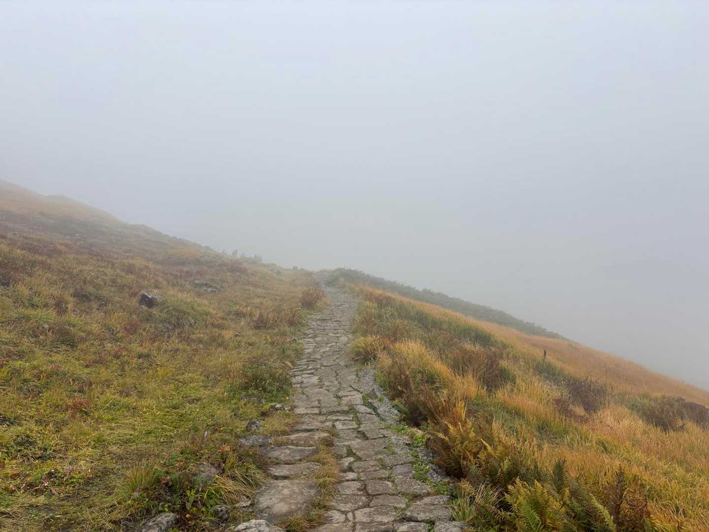 お天気がよければたぶんこの先に月山が見えたのでは？