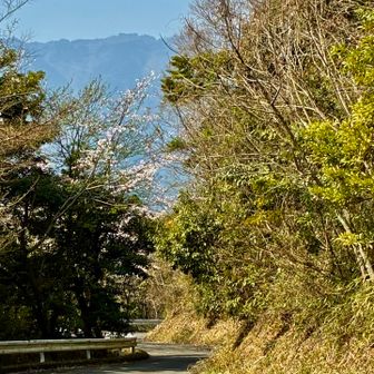 県道を下ります。