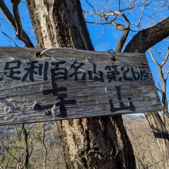 両崖山・仙人ヶ岳・石尊山 足百No26⛰️寺山
山王山を下山した途端にルートミス
ここからは難関グレーゾーンの意識が高まり思わず難しそうな道に入り---
３コマ戻る😨

よく見るとピンテくっきりラク道でした
稜線を意識して登ればなんてことない