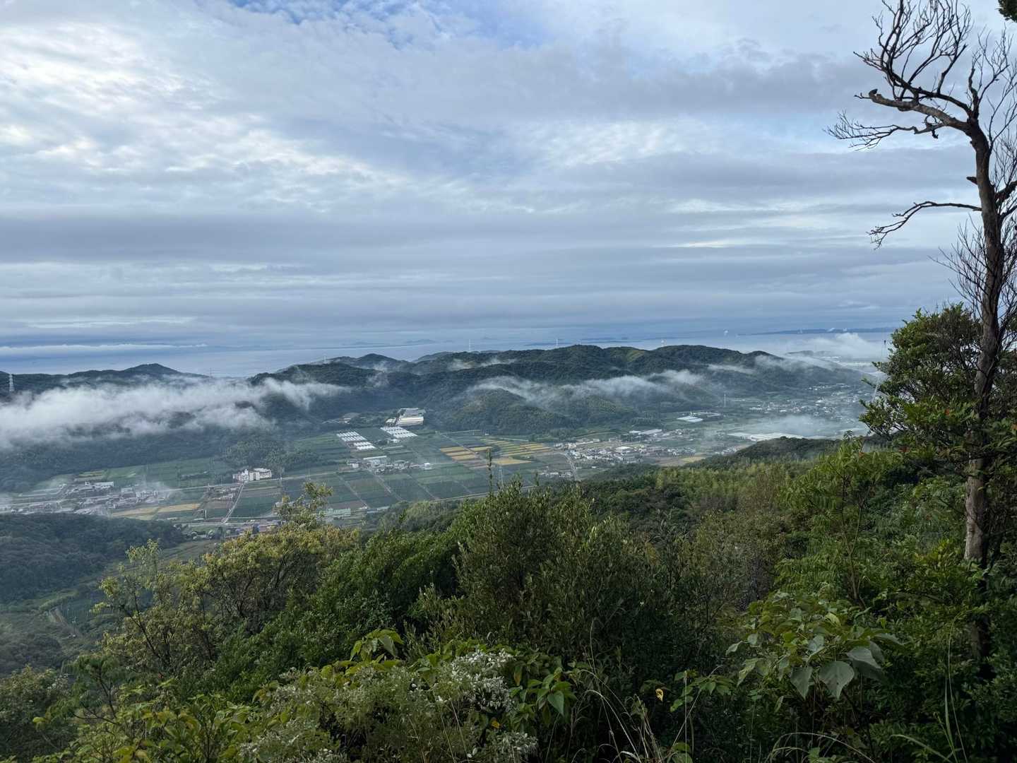 西茶臼山-茶臼山 周回コースの写真
