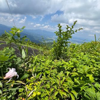 君、いいところに住んでるね🌸