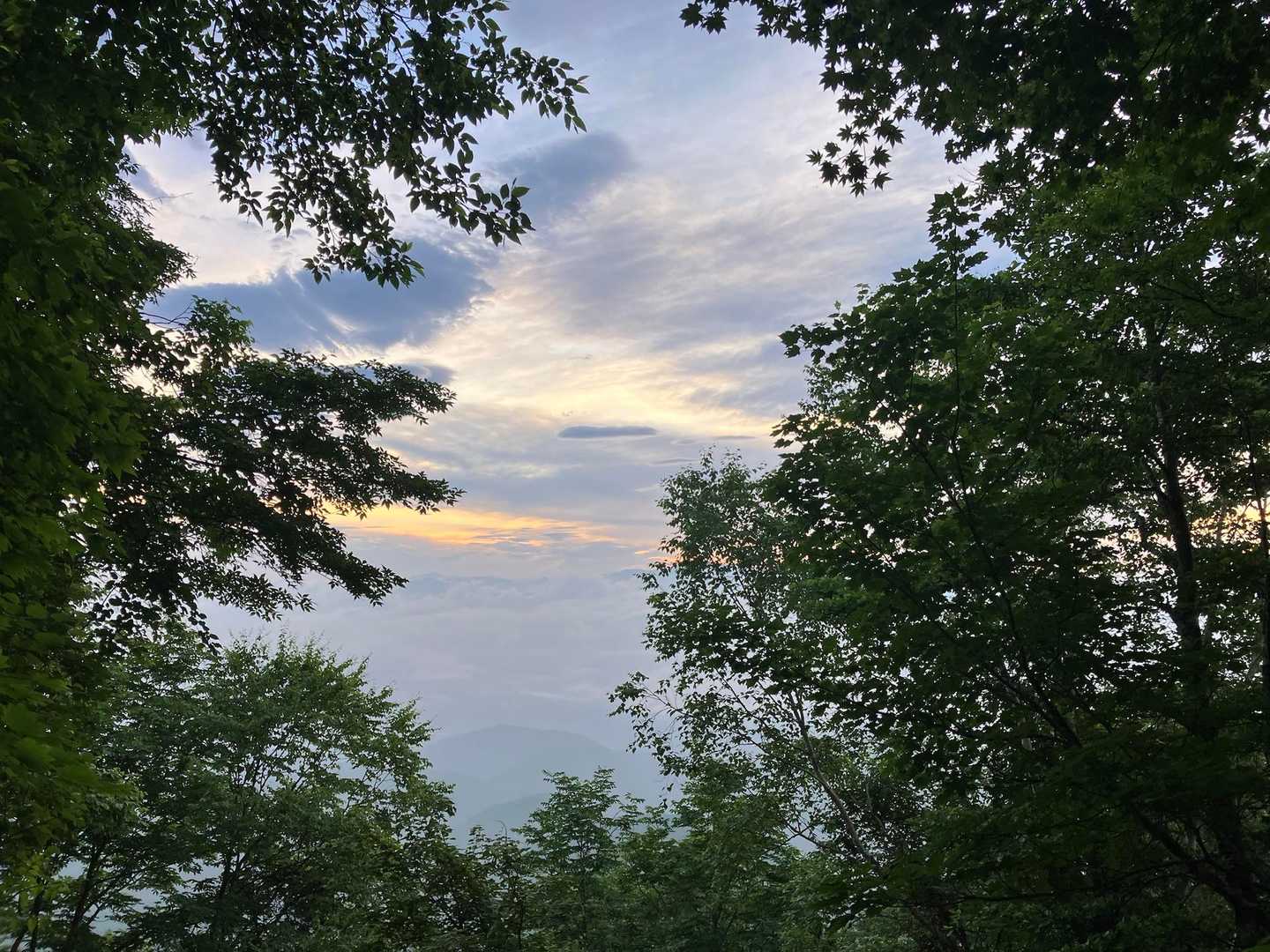 明るくなってきた