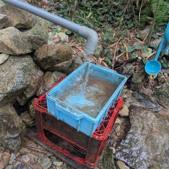 土砂降りの後は、流れてなかったな・・・。
